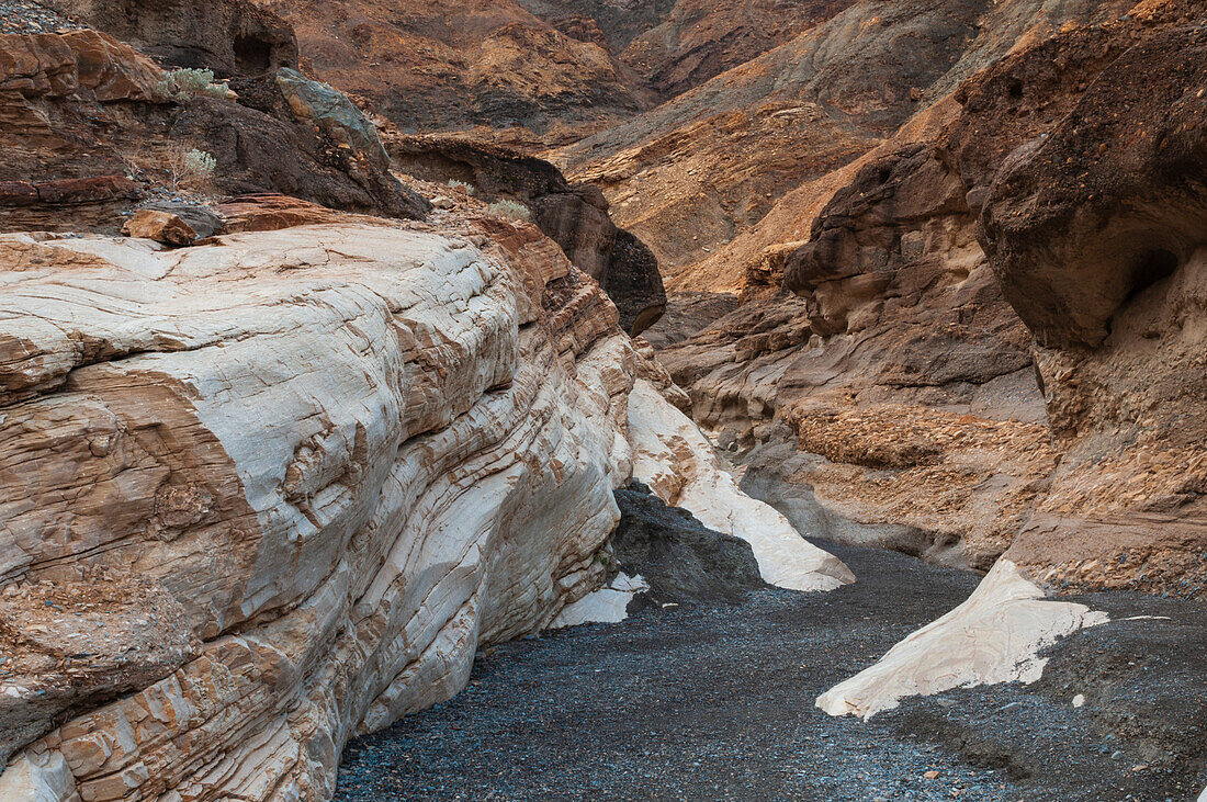 Ein Asphaltweg führt durch die glatten, weiß polierten Marmorwände im Mosaic Canyon. Death-Valley-Nationalpark, Kalifornien, USA.