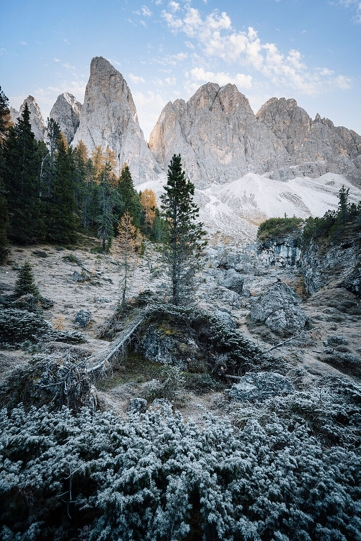 Sunrise in Odle Mountains group with trees, Funes Valley, South Tyrol, Italy