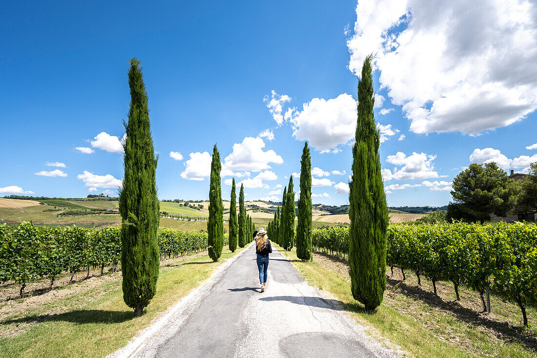 A girl walking under the sun into wineyards landscape near Macerata, Marche region, Italy.