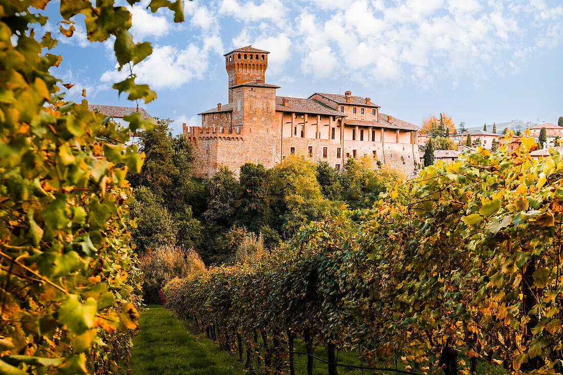 Levizzano Rangone castle and Lambrusco vineyards, Modena province, Emilia Romagna, Italy