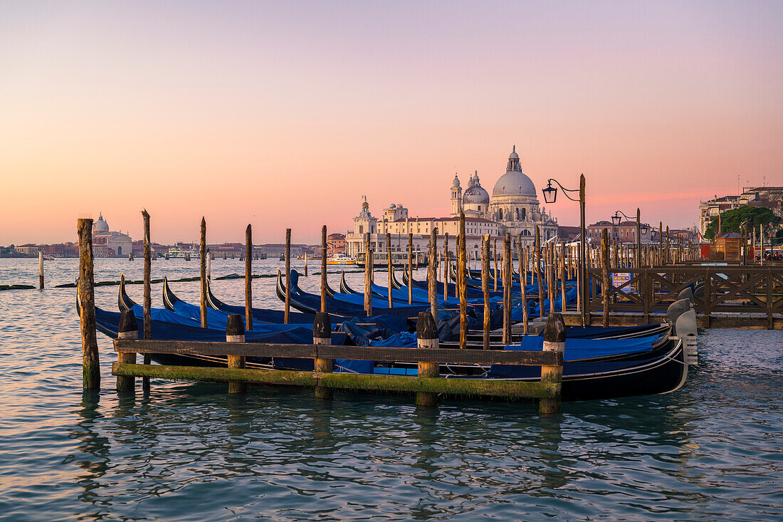 Gondolas in front of Santa Maria della Salute church, Venice, Veneto, Italy
