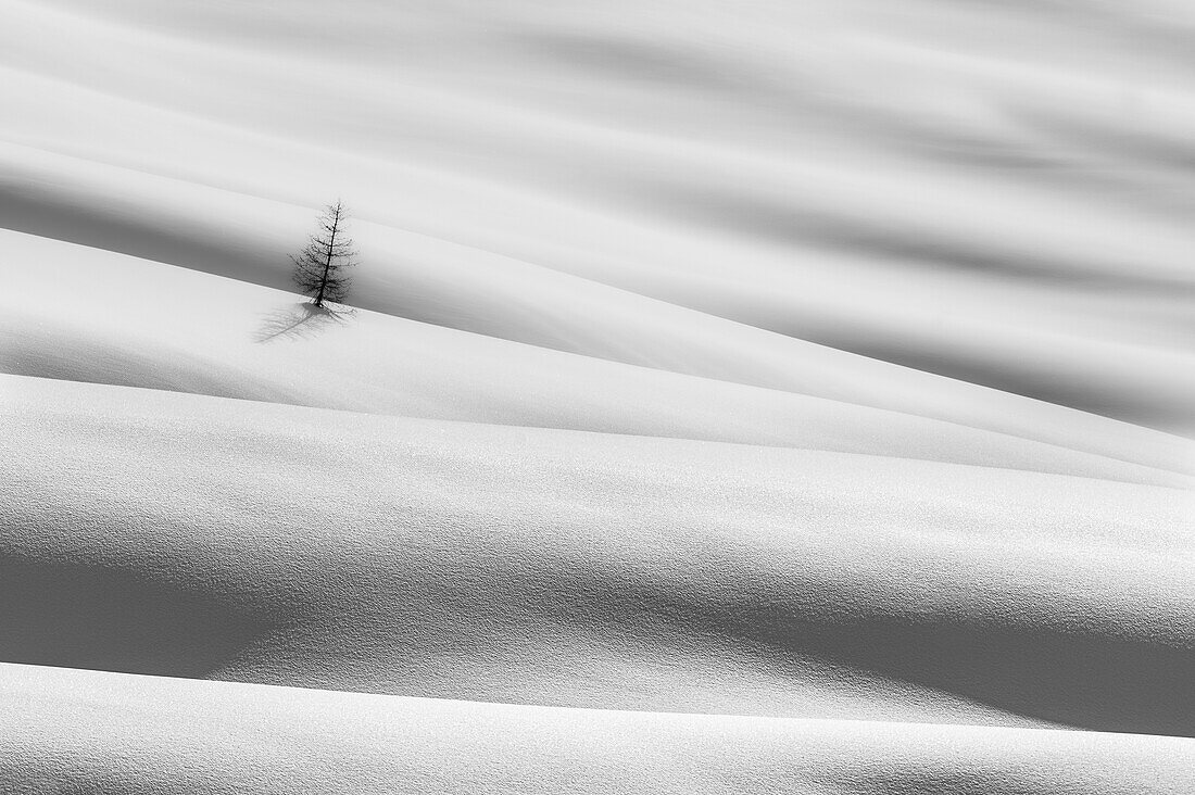 Schatten- und Lichtspiel wie eine Hautschicht, nach starkem Schneefall an einem kalten Wintermorgen, beim Aufstieg zum Nuvolau, Dolomiten, Provinz Belluno, Venetien, Italien, Europa