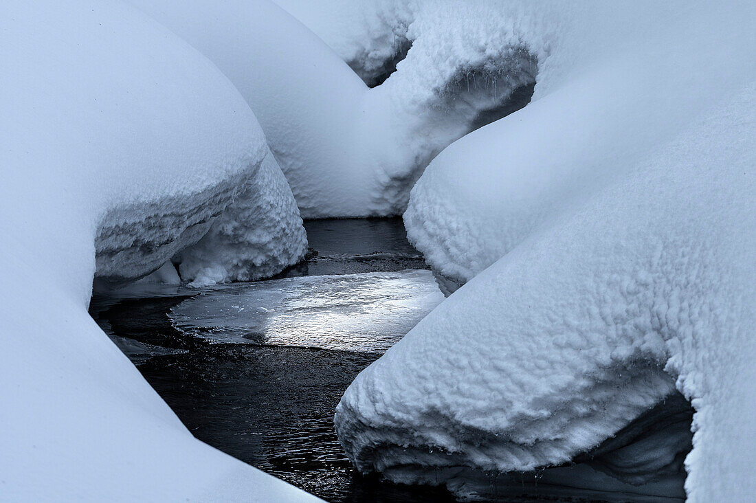 eine Lichtquelle, die sich im Wasser eines Baches im Val Salata, in der Nähe von Ra Stua, Dolomiten, Provinz Belluno, Venetien, Italien, Europa, spiegelt