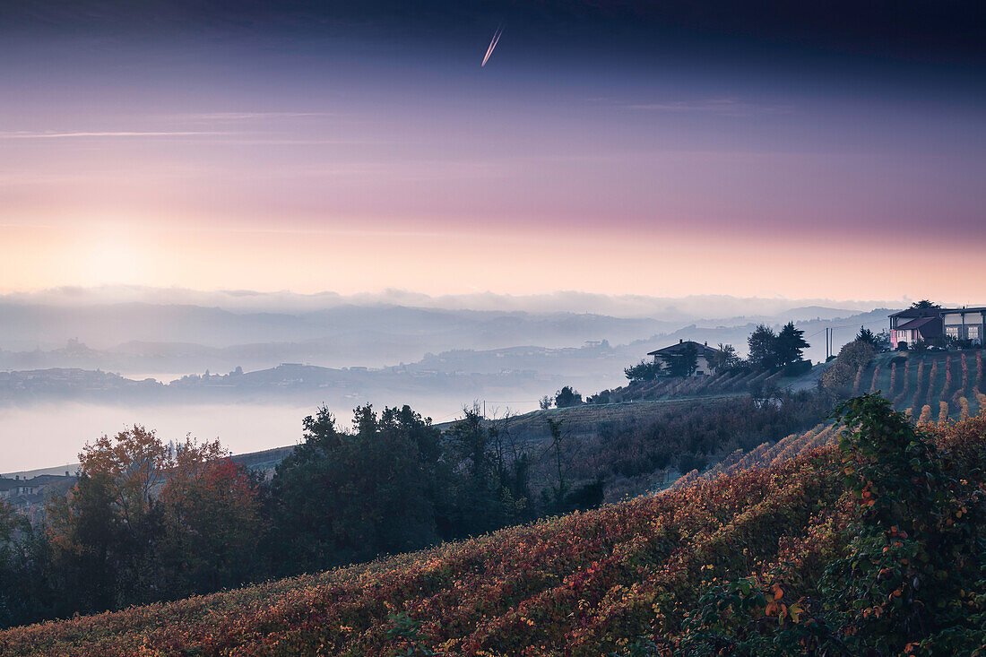 Sternschnuppe in den Weinbergen von Langhe-Monferrato, Provinz Cuneo, Piemont, Italien