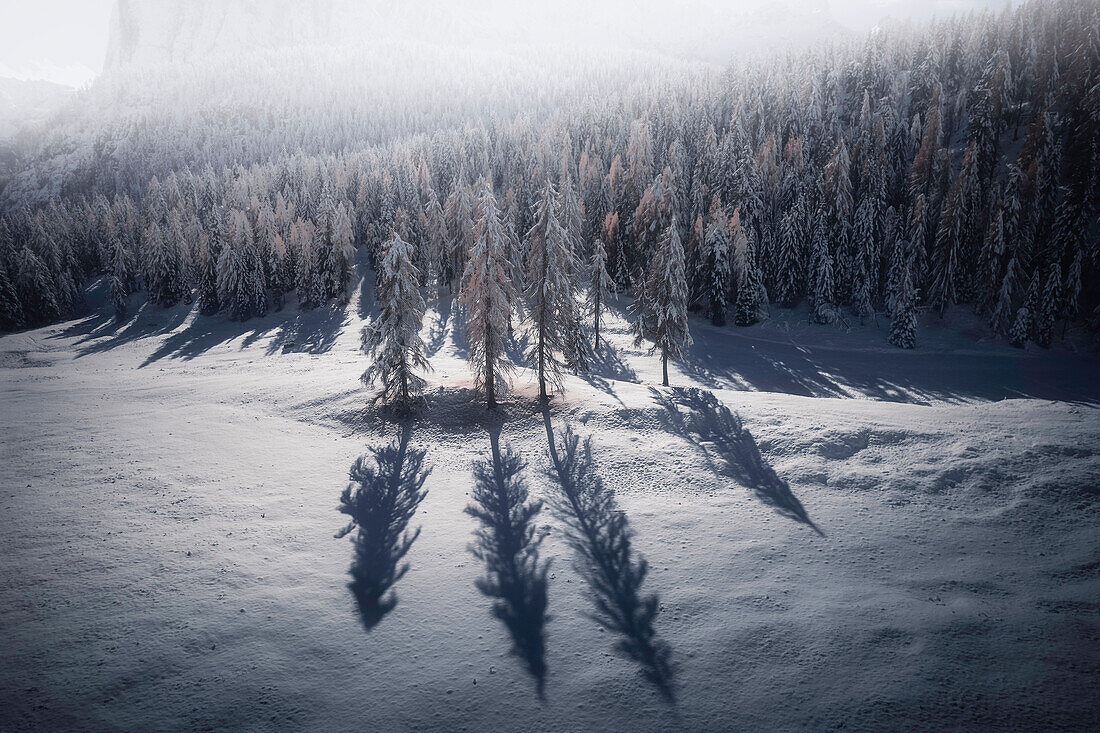 Passo Tre Croci, Dolomiten, Venetien, Italien. Luftaufnahme der gefrorenen Bäume bei Sonnenaufgang