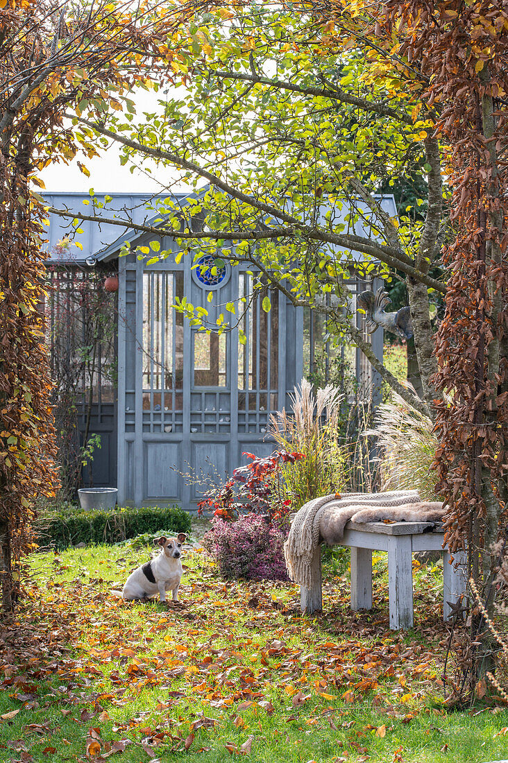 Herbstlicher Garten mit Gartenhaus, Sitzplatz und Hund