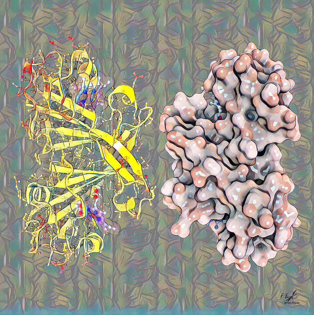 Cytochrome c prime molecule, illustration