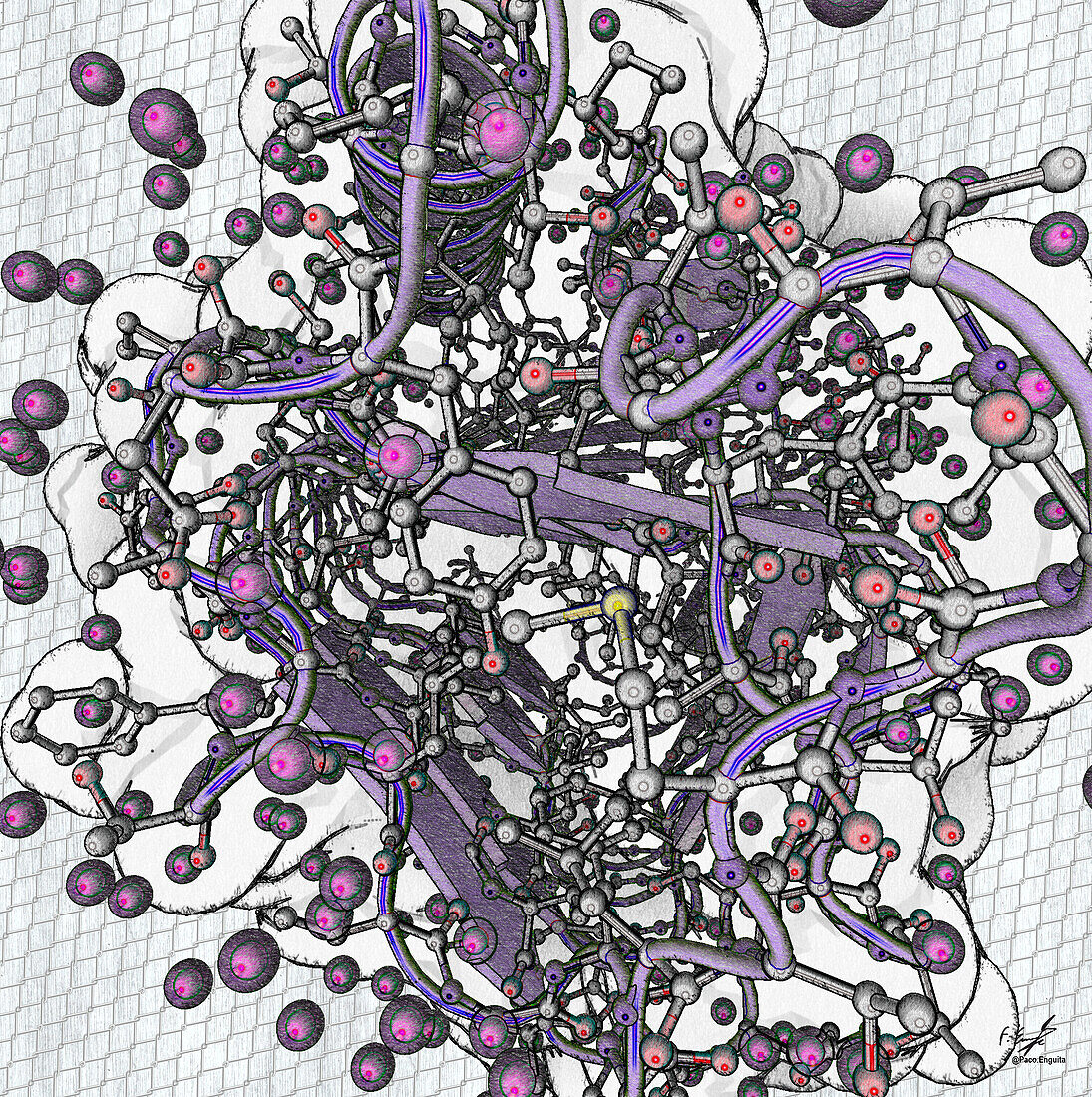 Fungal antifreeze protein, illustration
