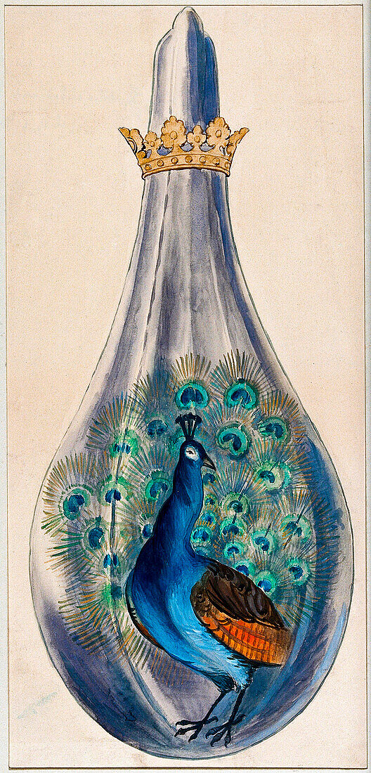 Alchemy's peacock stage, 16th century conceptual illustration