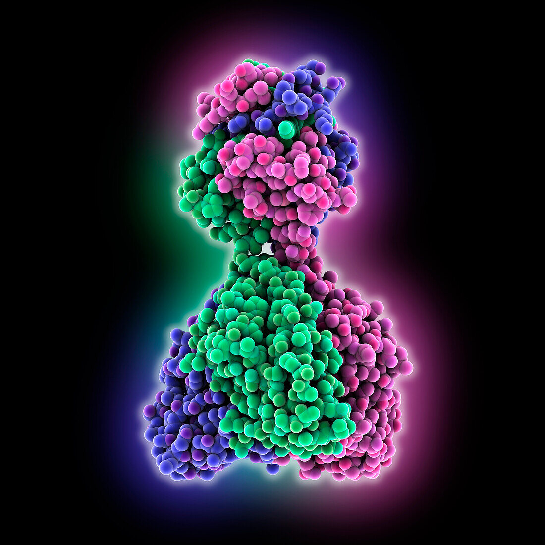 Zamilon virus protein Zav_19, molecular model