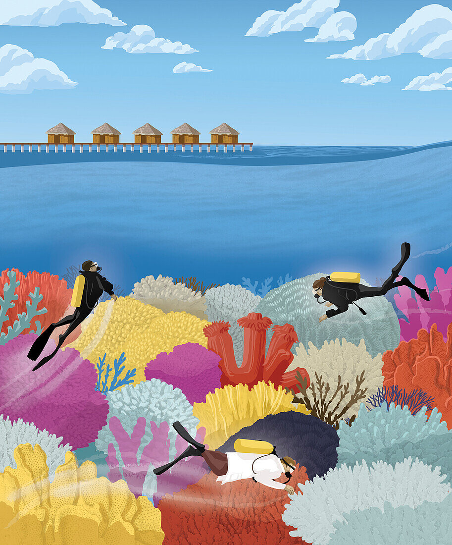 Coral research, conceptual illustration