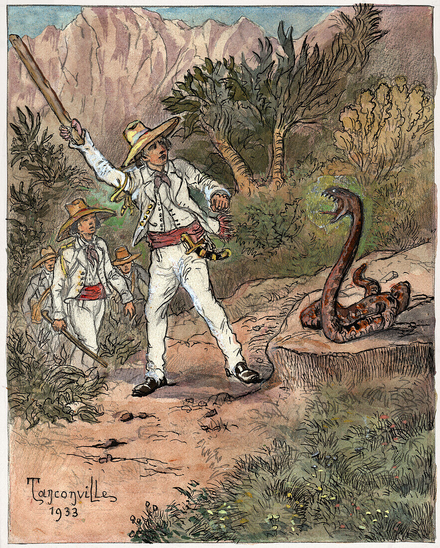Snake attack, illustration