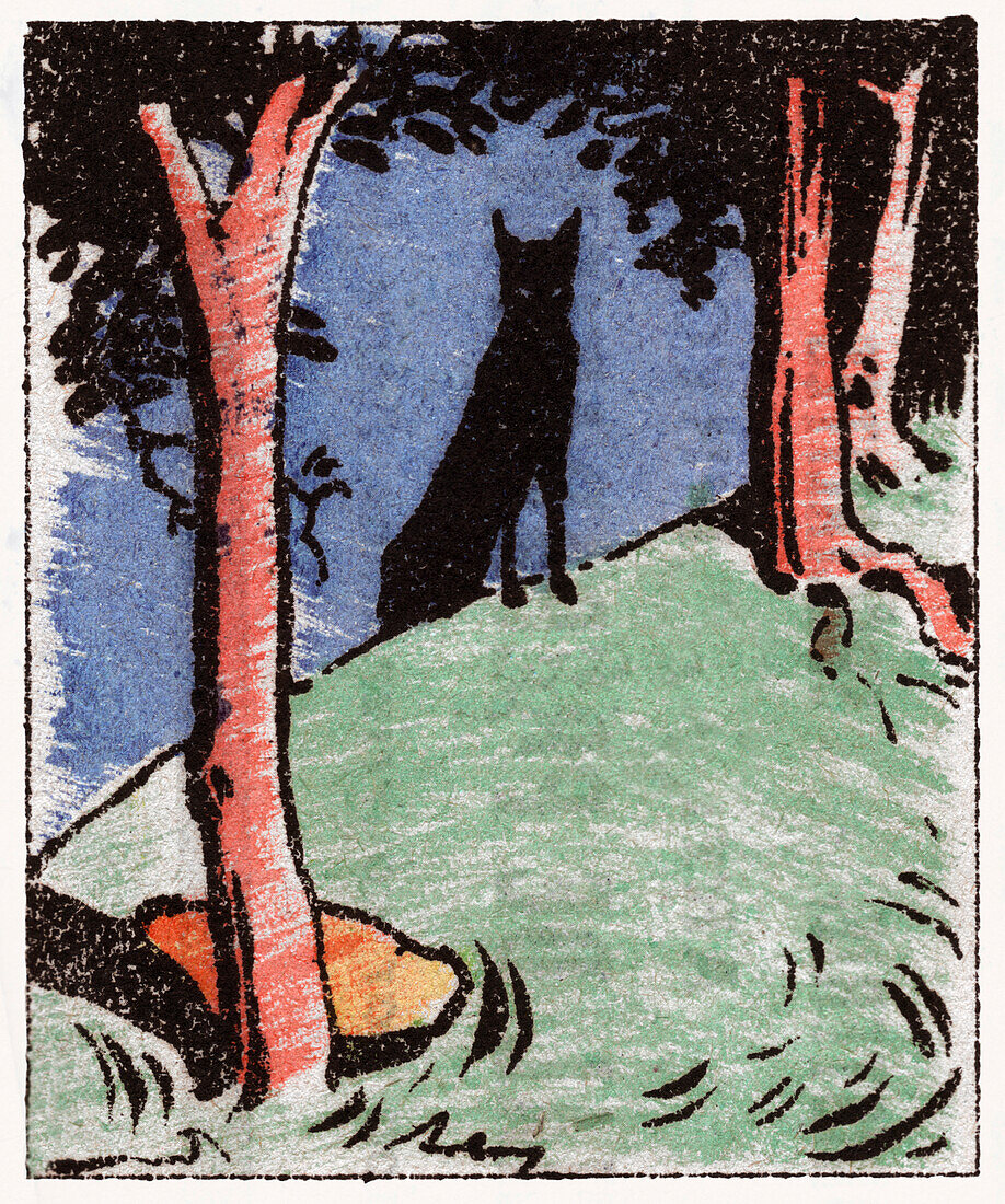Wolf, illustration