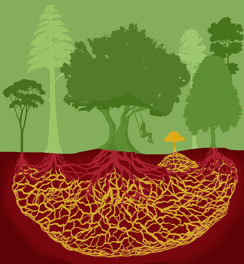 Fungi network, conceptual illustration