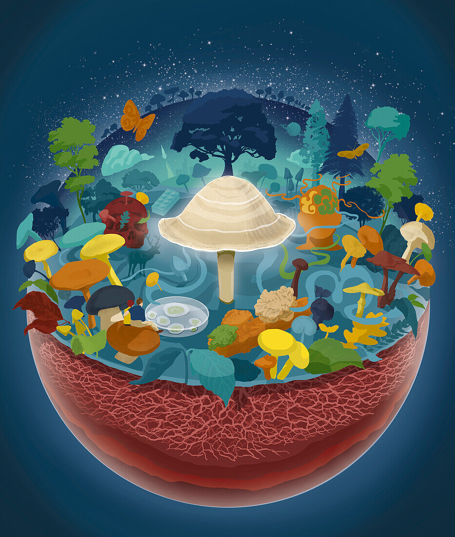 Fungi world, conceptual illustration