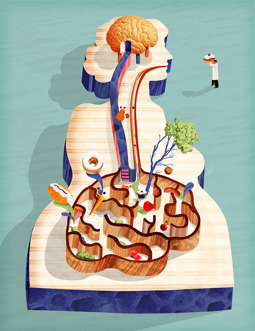 Gut brain connection, conceptual illustration