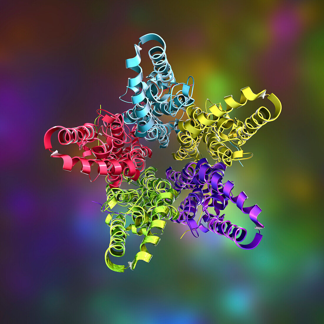 Bestrophin-1 protein molecule, illustration