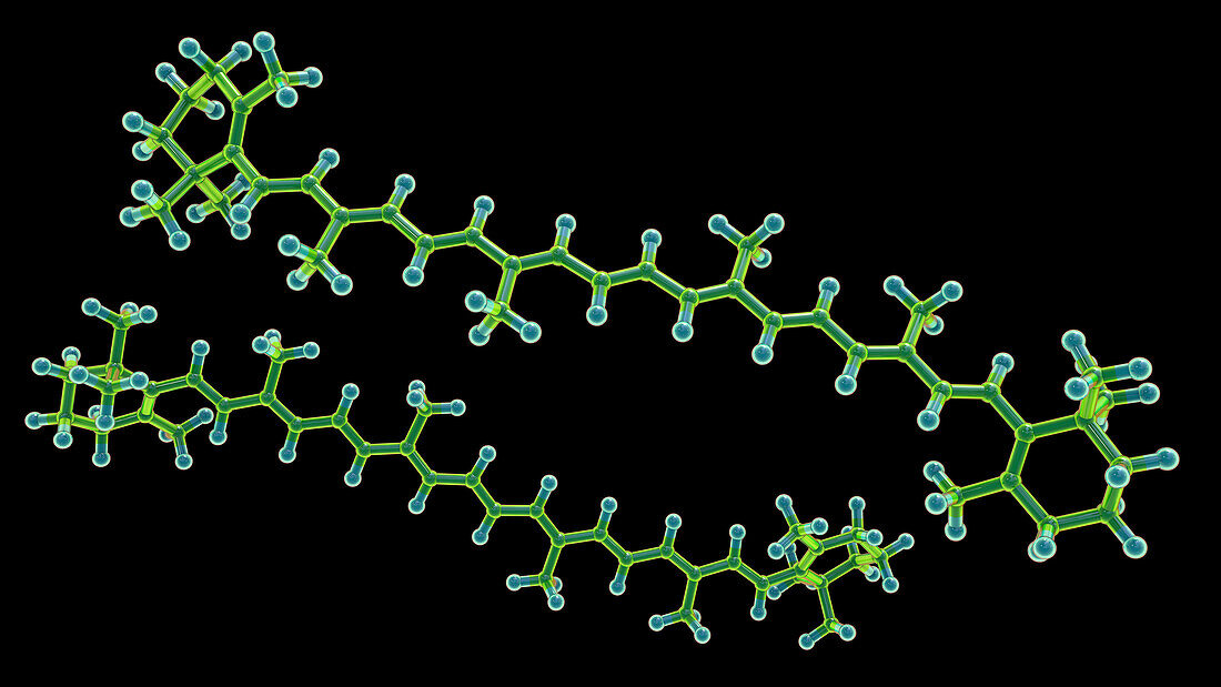 Molecular model of beta-carotene, illustration