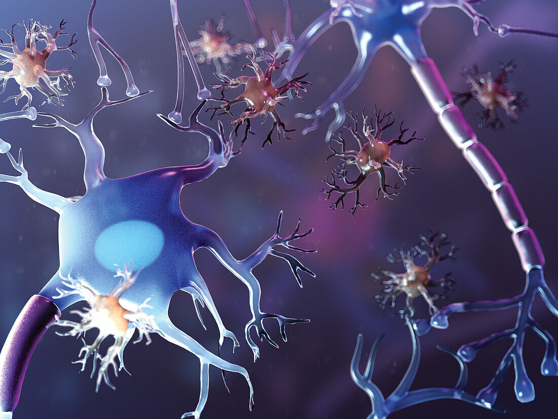 Neurons and microglia, illustration
