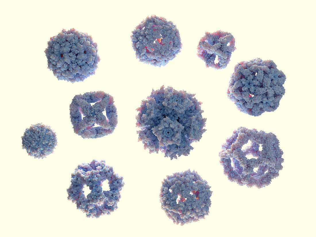 Protein nanoparticles, illustration