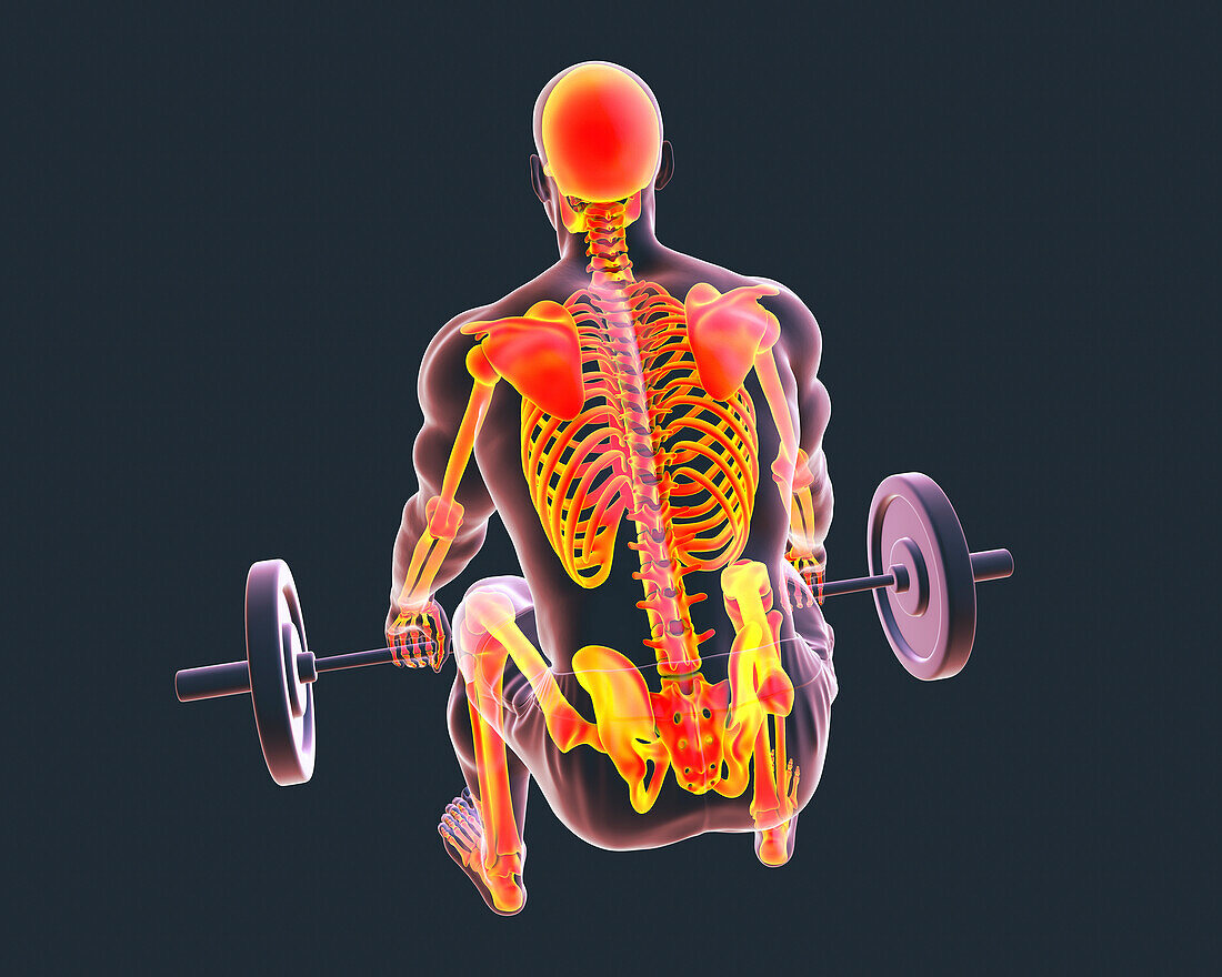 Man with back pain lifting a barbell, illustration