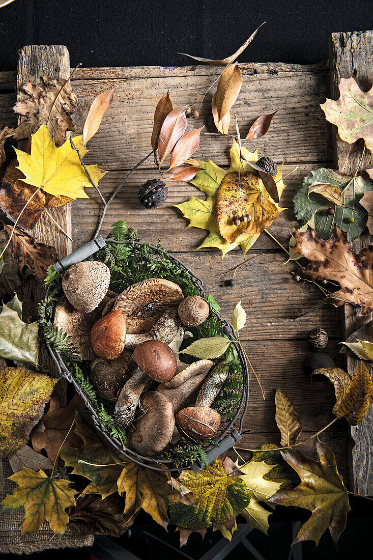 Herbstliches Stillleben mit Waldpilzen und Laubblättern