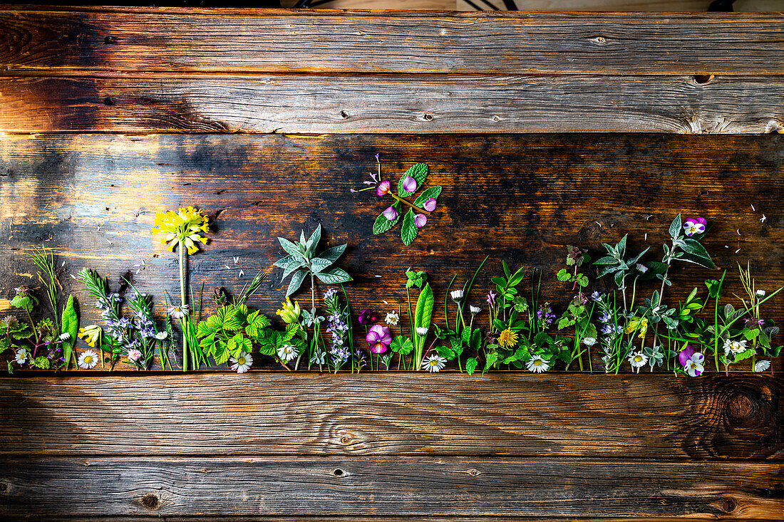 Kräuter und Blüten auf rustikalem Holzuntergrund