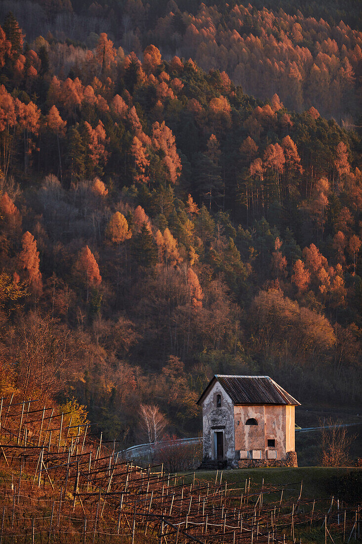 Burg von Segonzano, Valle di Cembra, Provinz Trient, Italien