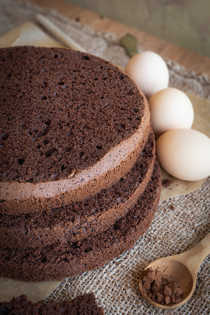 Chocolate sponge cake