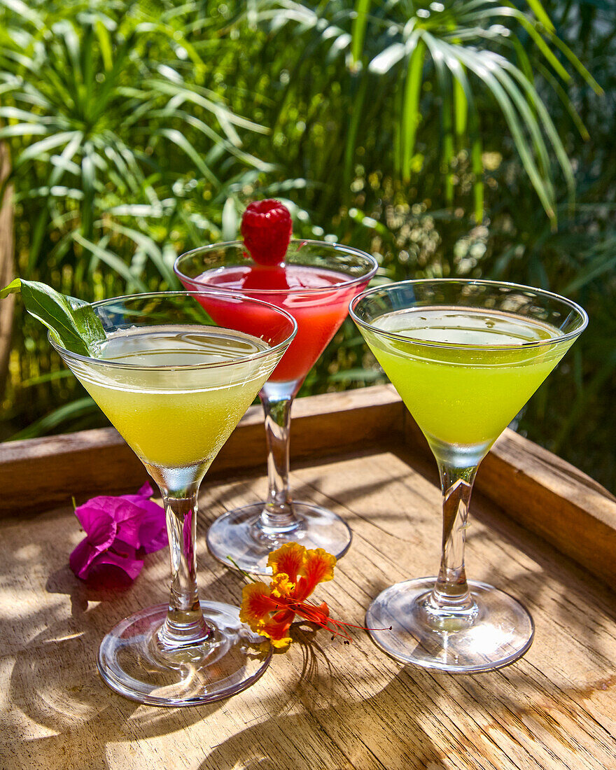 Various summer cocktails in martini glasses
