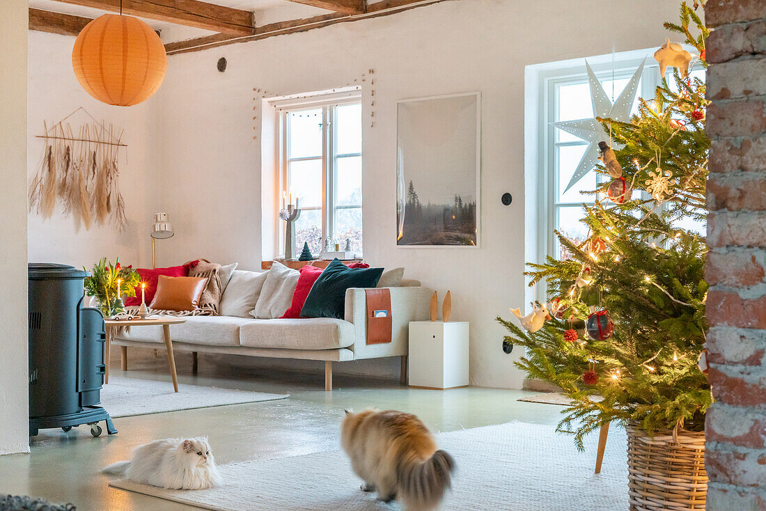 Living room decorated for Christmas with two cats, a wood-burning stove and a Christmas tree