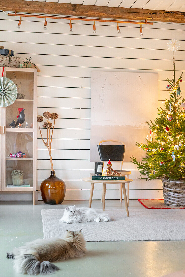 Zwei Katzen sitzen vor Weihnachtsbaum im hellen Wohnzimmer