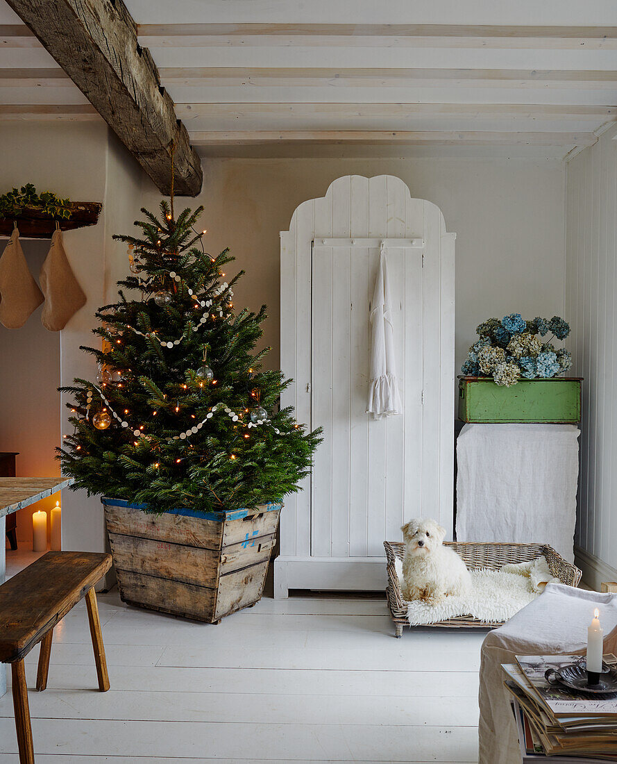 Weihnachtlich dekorierter Baum neben weißem Schrank in rustikalem Raum