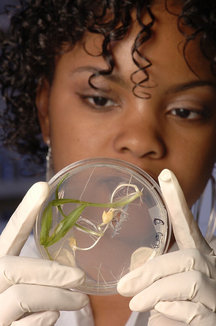 Wissenschaftlerin bei der Arbeit im Labor mit Pflanzenmaterial