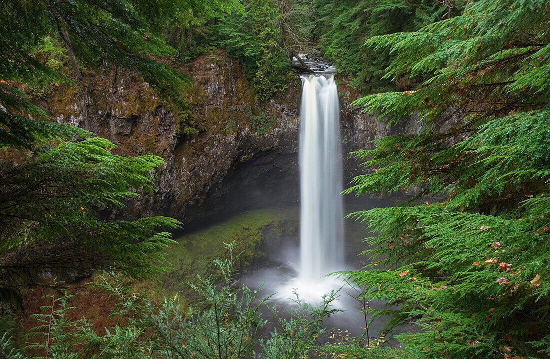 Big Creek Falls im Wassereinzugsgebiet … – Bild kaufen – 13844189 Image ...