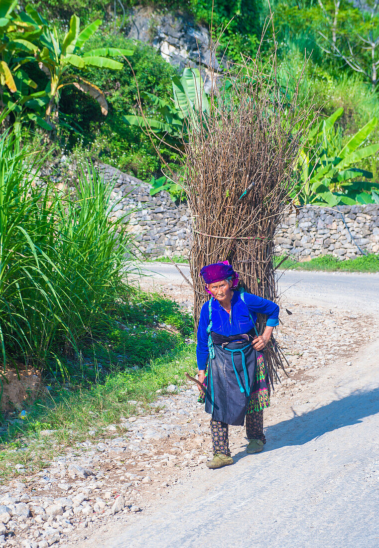 Vietnamese farmer in a countrside near Ha Giang Vietnam