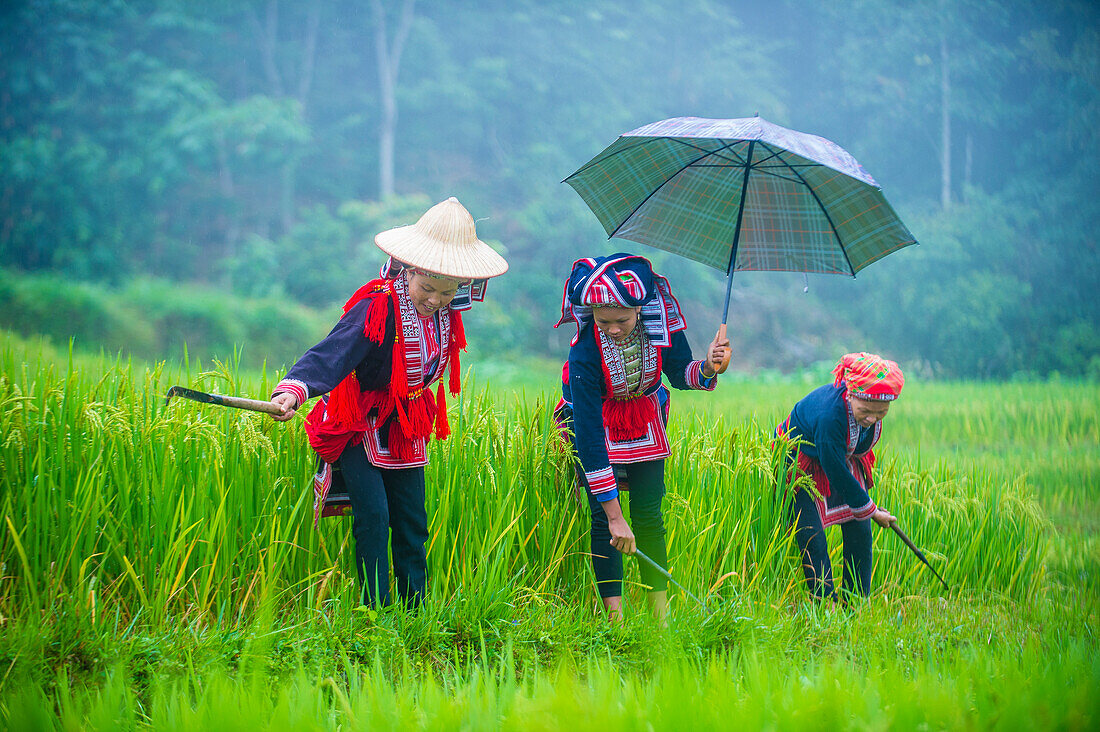Frauen der roten Dao-Minderheit in einem Dorf bei Ha Giang in Vietnam