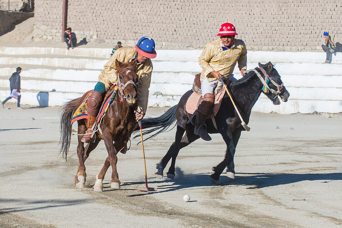 Viel Polo während des Ladakh-Festivals in Leh, Indien