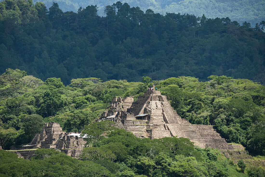Die Stufenpyramide von Tonina erhebt sich aus dem umliegenden Regenwald in der Nähe von Ocosingo, Chiapas, Mexiko. Mit 74 Metern oder 243 Fuß Höhe ist sie eine der höchsten Pyramiden in Mexiko.