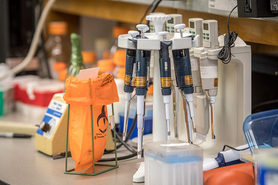 Stand used to hold pipettes in laboratory, Tifton, Georgia.