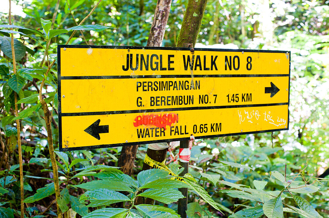 Wegweiser Dschungelwanderung 8 in den Cameron Highlands, Malaysia. Die Cameron Highlands in Zentralmalaysia sind mit ihrer fantastischen Landschaft, der vielfältigen Natur und den Teeplantagen, die sich bis zum Horizont erstrecken, ein idealer Ort für einen Wanderurlaub. Die Wanderwege sind im Allgemeinen gut ausgeschildert, und Karten mit detaillierten Angaben zu den Routen sind in Tanah Rata leicht erhältlich. Der dichte Dschungel kann das Wandern manchmal recht schwierig machen, daher lohnt es sich, die Hinweise zur erforderlichen Fitness für jede Route durch den Dschungel zu beachten.