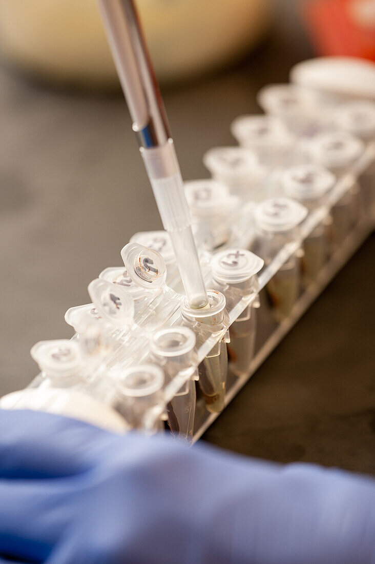 Wissenschaftliche Tests in einem pflanzenwissenschaftlichen Labor in College Park, Maryland, USA