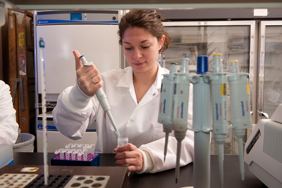 Wissenschaftler bei der Durchführung eines Experiments in einem Labor
