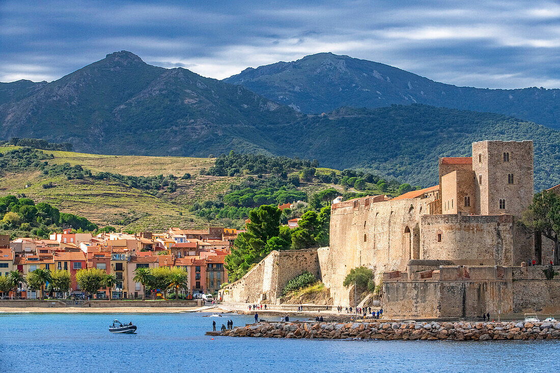 Das königliche Schloss von Collioure und die Strandlandschaft des malerischen Dorfes Colliure in der Nähe von Perpignan in Südfrankreich Languedoc-Roussillon Cote Vermeille Midi Pyrenees Occitanie Europa