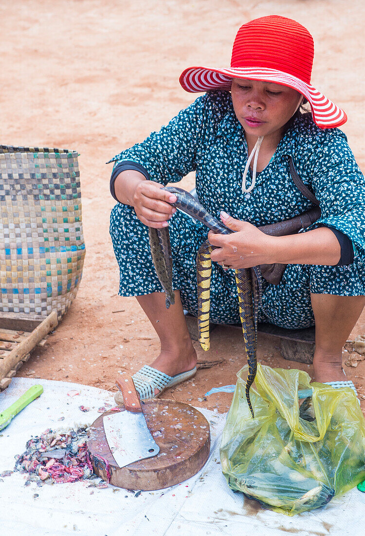 Kambodschanische Frau, die auf einem Markt in Siem Reap (Kambodscha) Schlangen verkauft