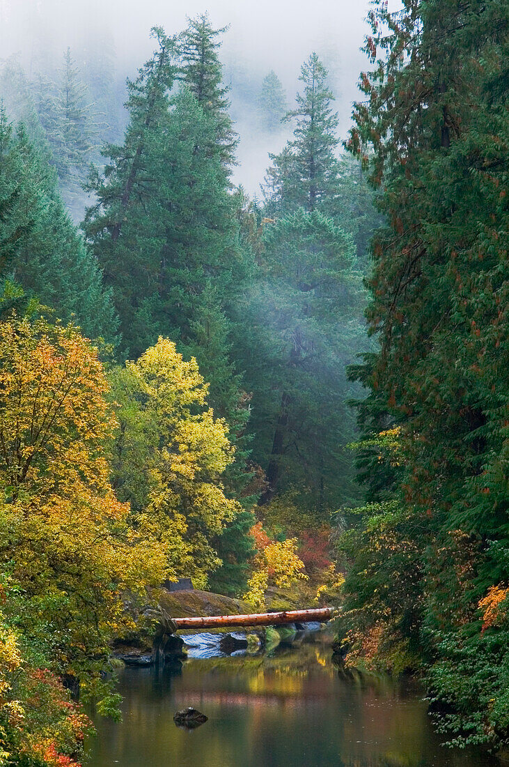 South Umpqua River in Autumn; Umpqua National Forest, Cascade Mountains, Oregon.