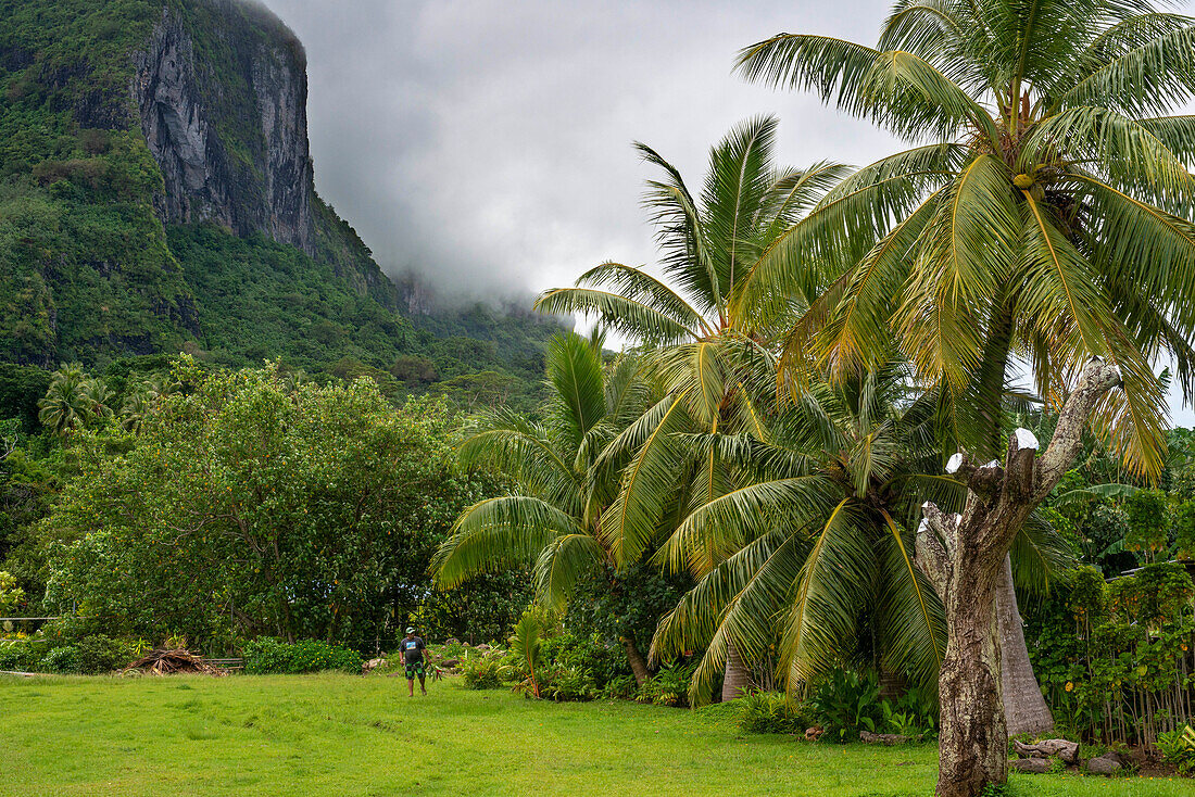 Blick auf den Berg und die Palmen in Bora Bora Moorea, Französisch-Polynesien