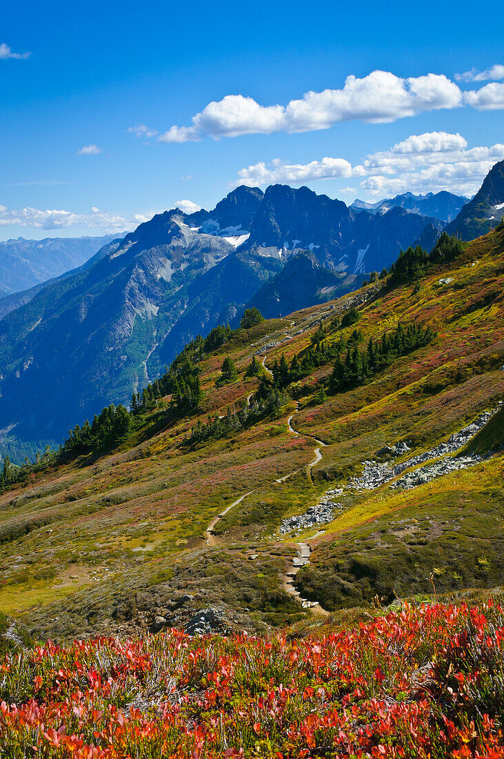 Sahale Arm Trail and view towards Magic Mountain above Cascade Pass, North Cascades National Park, Washington.