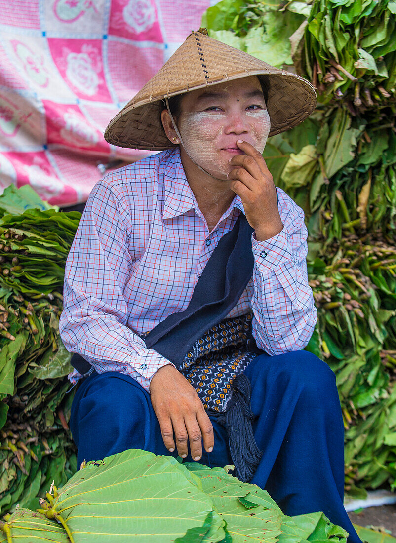 Burmese woman selling betel leaf in a market in Shan state Myanmar