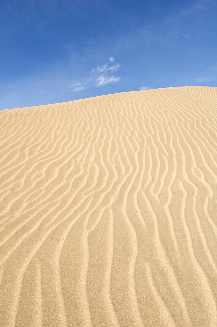 Sand dunes in Christmas Lake Valley, southeast Oregon.